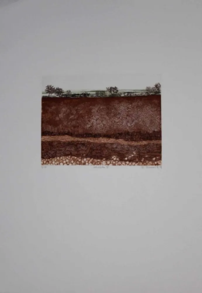 Radierung Und Aquatinta Vernunft - Schichten III