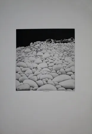 Radierung Und Aquatinta Vernunft - Steinblüten