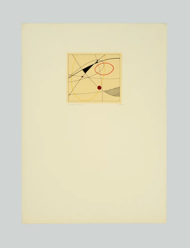 Siebdruck Veronesi - Composizione