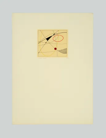 Siebdruck Veronesi - Composizione