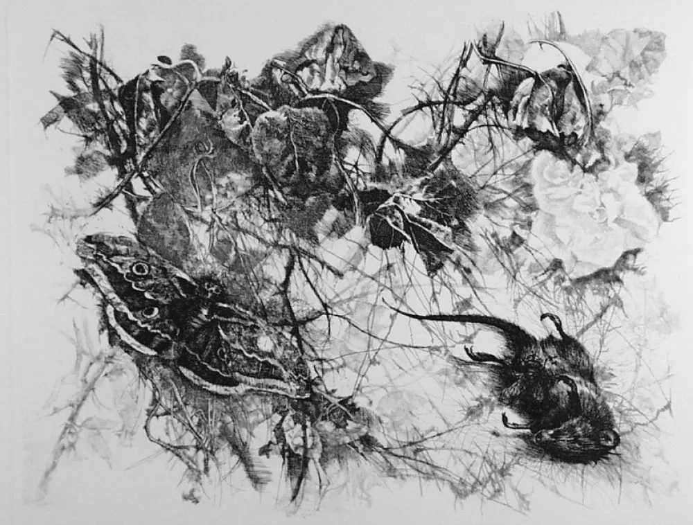 Radierung Vespignani - Zibaldone (Per Leopardi)