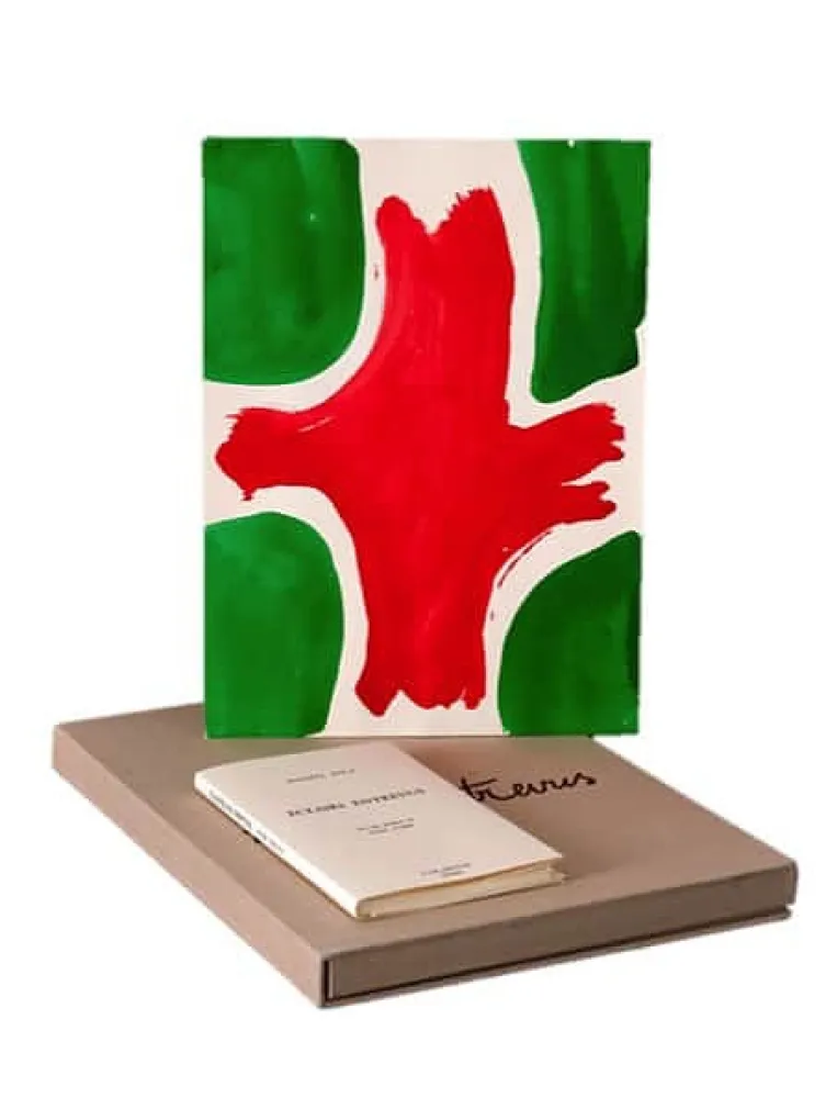 Illustriertes Buch Viallat - ECLAIRS ENTREVUS, 1991