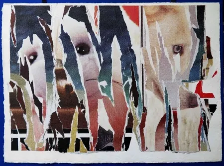 Keine Technische Villeglé - Lacération au retriever