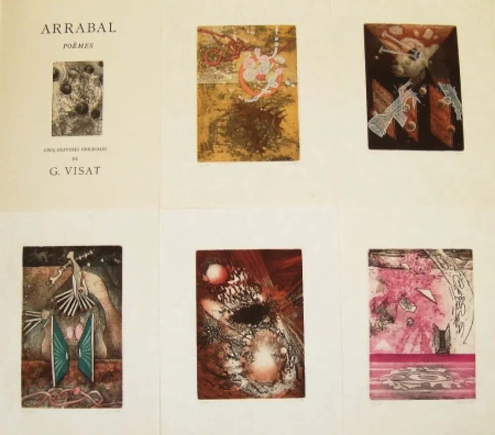 Illustriertes Buch Visat - Poèmes