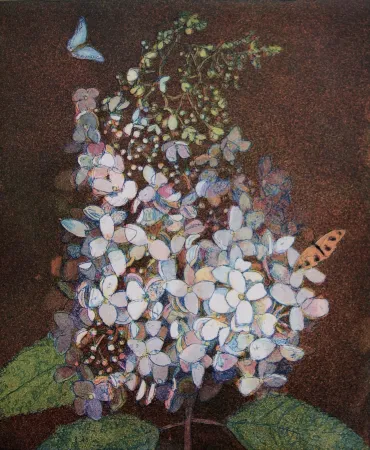 Aquatinta Votteler - Kleine weisse Hortensie