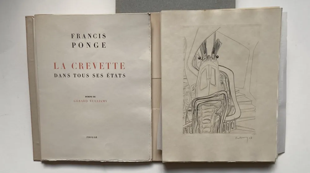 Illustriertes Buch Vulliamy - LA CREVETTE DANS TOUS SES ETATS