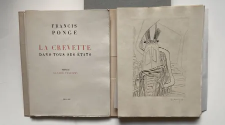 Illustriertes Buch Vulliamy - LA CREVETTE DANS TOUS SES ETATS