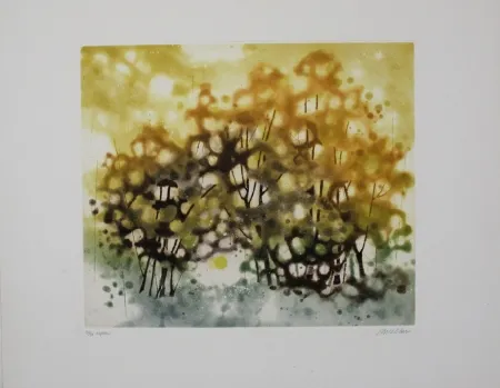 Radierung Und Aquatinta Walker - Aspen