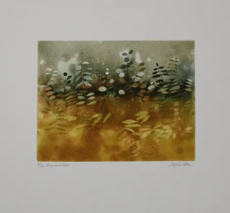 Radierung Und Aquatinta Walker - Longmeadow