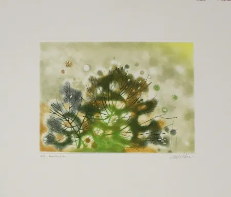 Radierung Und Aquatinta Walker - Marhoha