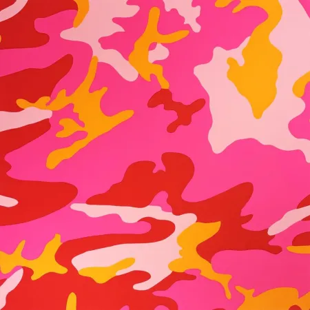 Siebdruck Warhol - Camouflage, II.408