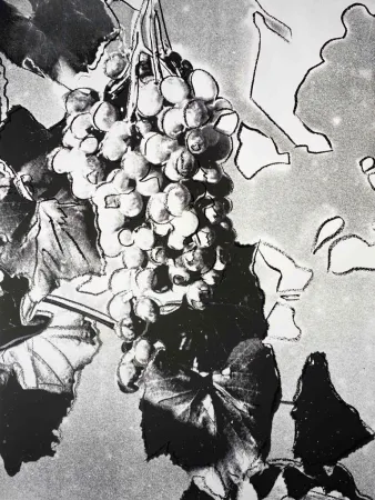 Siebdruck Warhol - Grapes