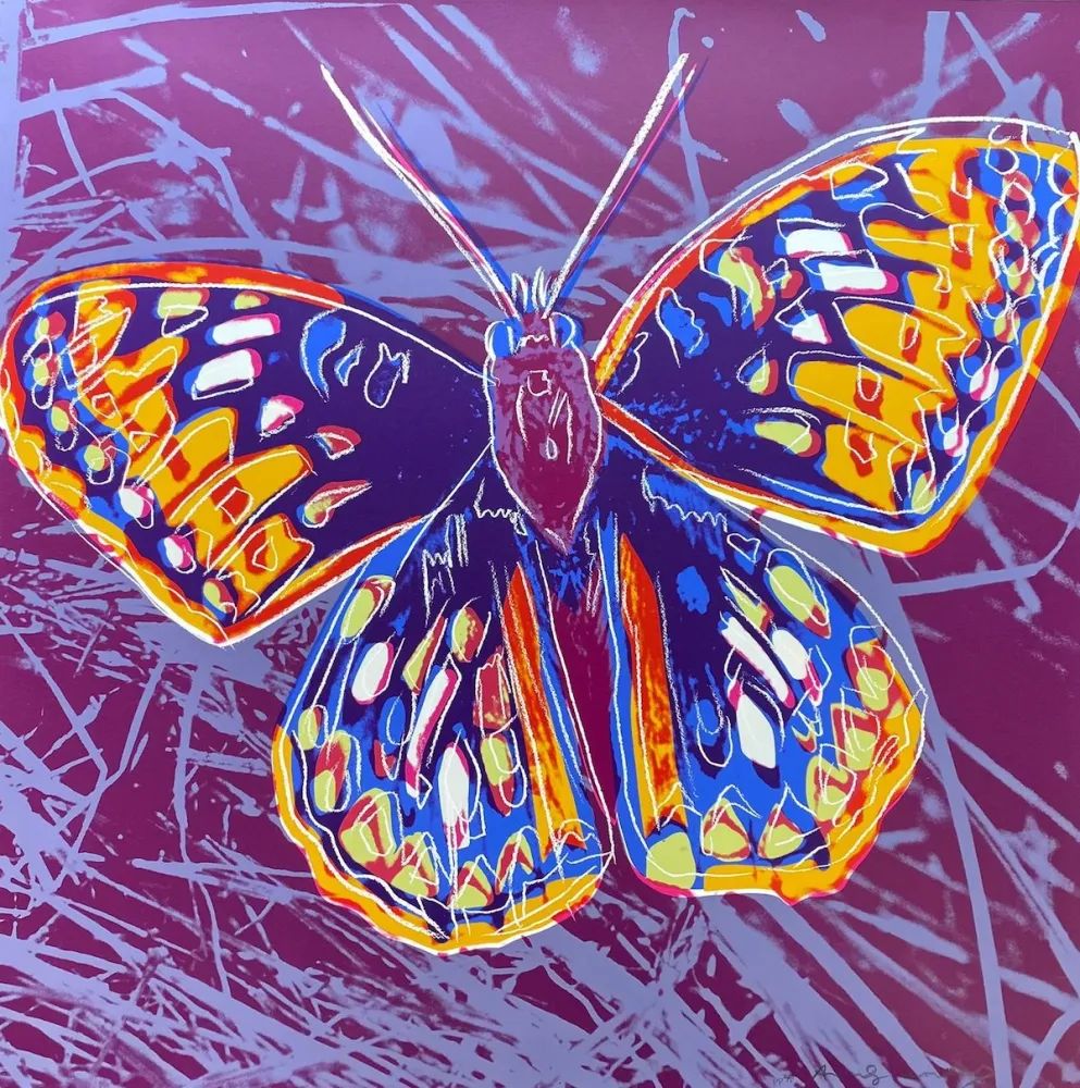 Siebdruck Warhol - San Francisco Silverspot (FS II.298)