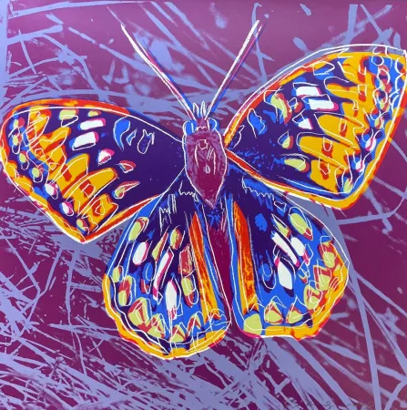 Siebdruck Warhol - San Francisco Silverspot (FS II.298)