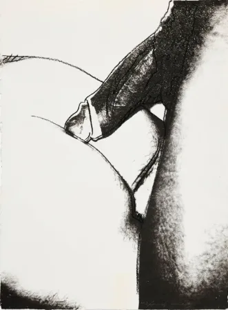 Siebdruck Warhol - Sex Parts II.174