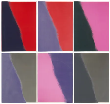 Siebdruck Warhol - Shadows II Complete Portfolio