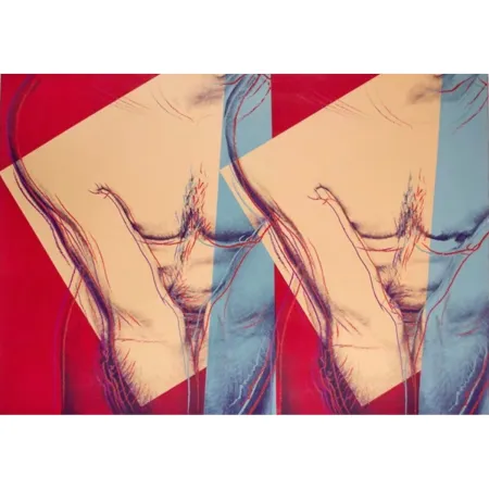 Siebdruck Warhol - Torso (Double) (FS IIIA.35)