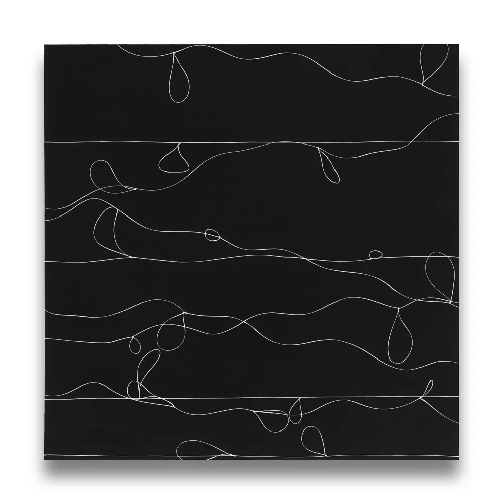 Fotografie Webber - Loops 1