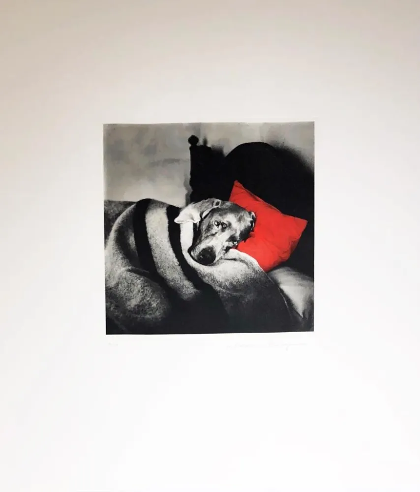 Stich Wegman - Cinderella Sleeping