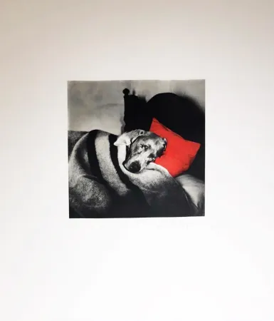 Stich Wegman - Cinderella Sleeping