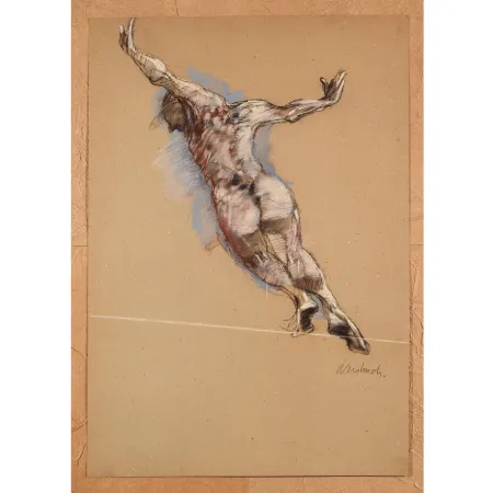 Keine Technische Weisbuch - Le saut de l’ange