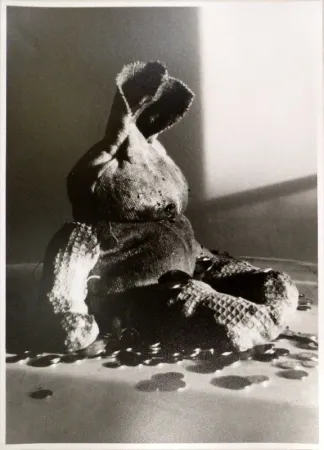 Fotografie Weiss - Lumpentiti / Rag Doll (Geldsack)