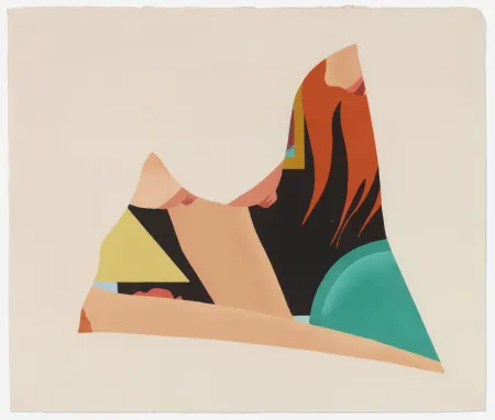 Holzschnitt Wesselmann - Bedroom Dropout