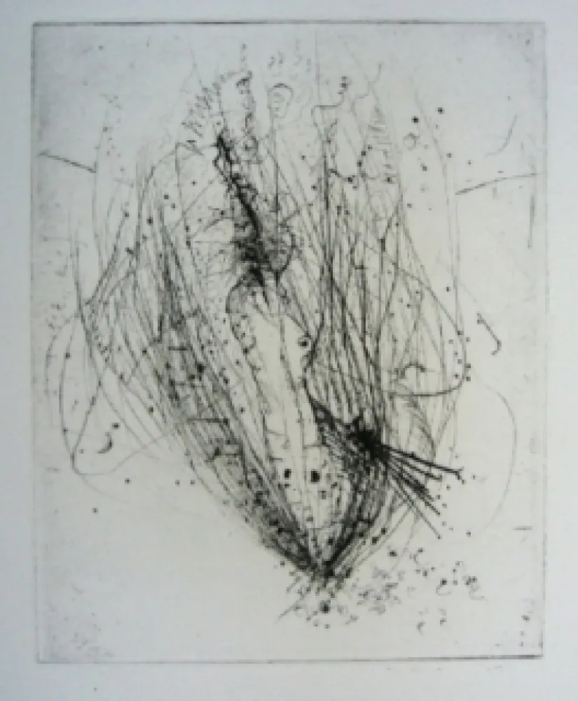 Stich Wols - Akblute