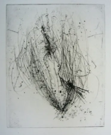 Stich Wols - Akblute