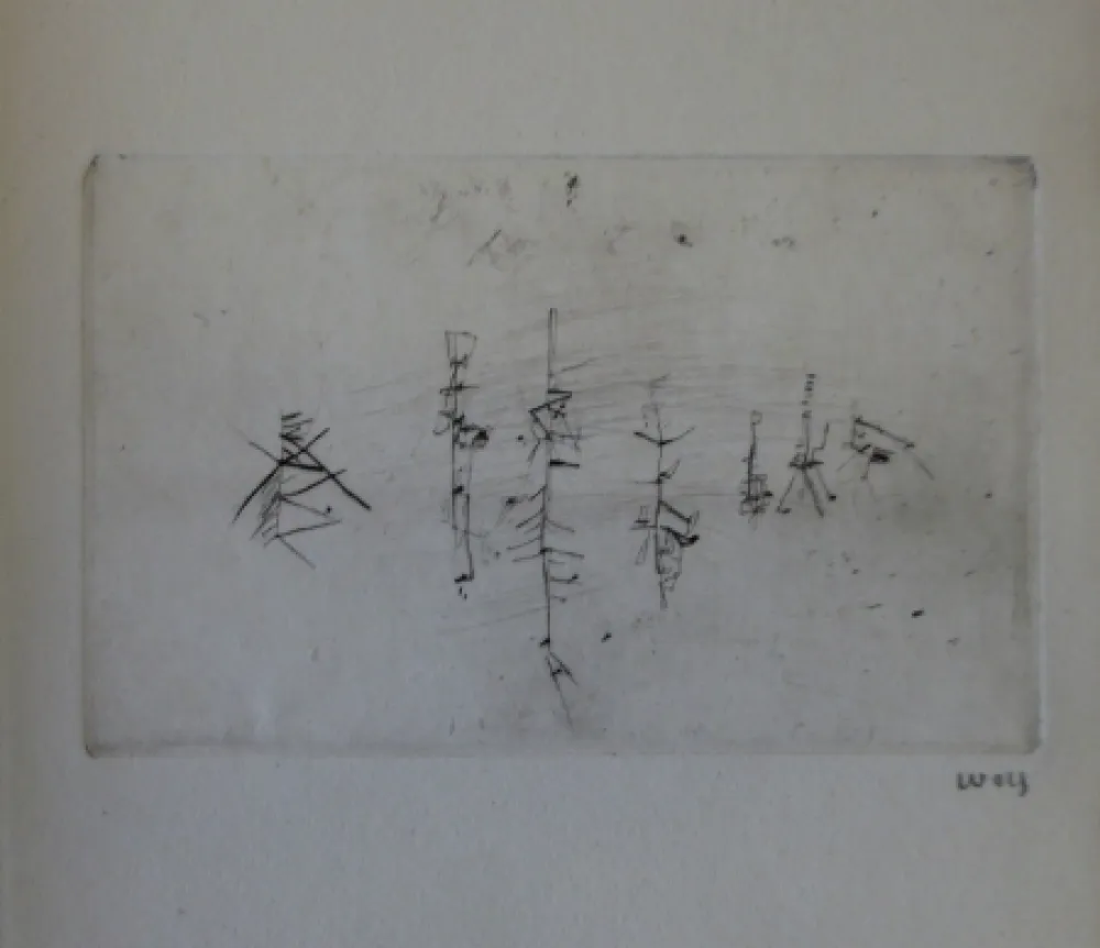 Illustriertes Buch Wols - L'invité des morts