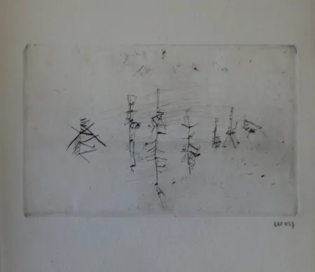 Illustriertes Buch Wols - L'invité des morts