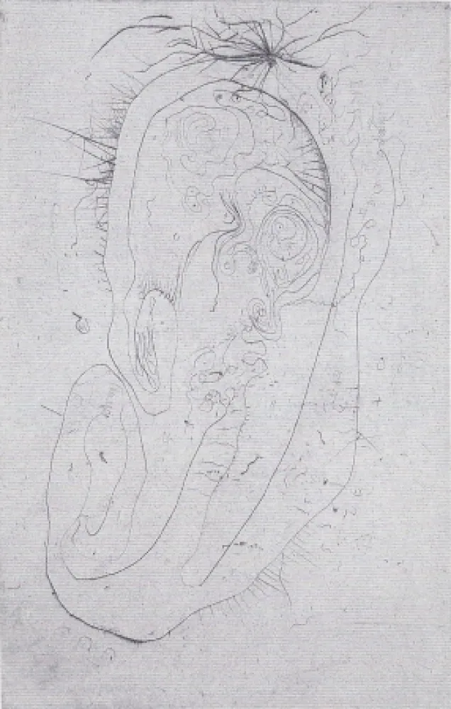 Illustriertes Buch Wols - Naturelles