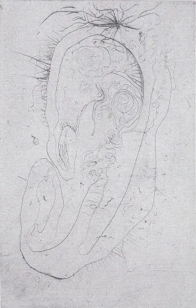 Illustriertes Buch Wols - Naturelles