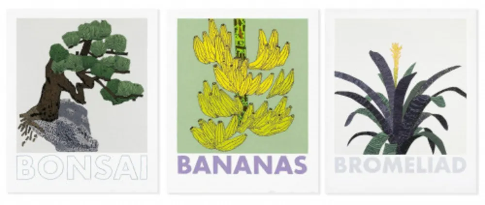 Siebdruck Wood - Bonsai, Banana and Bromelaid