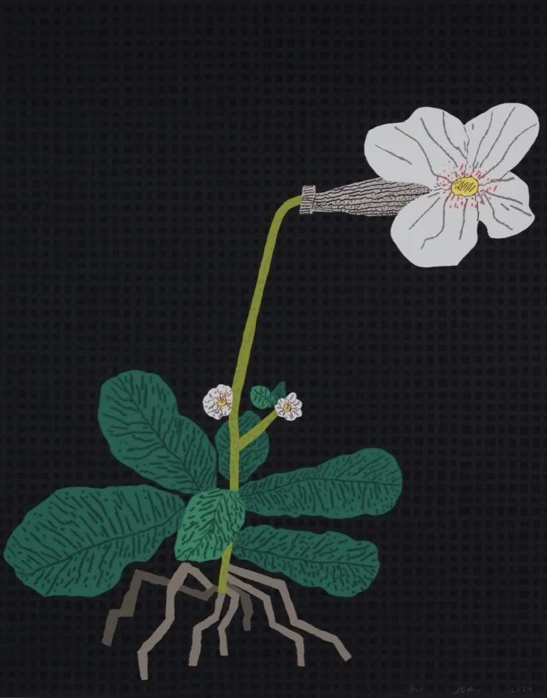 Siebdruck Wood - White Flower with Grid