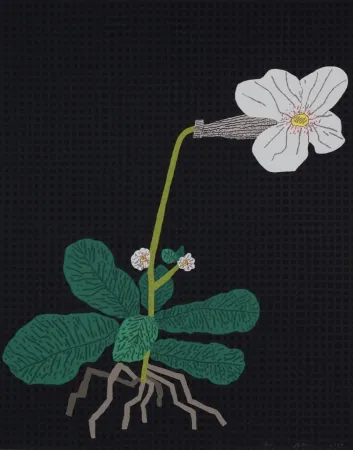 Siebdruck Wood - White Flower with Grid
