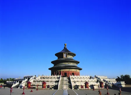 Fotografie Yan - Bird Tiantan No.1