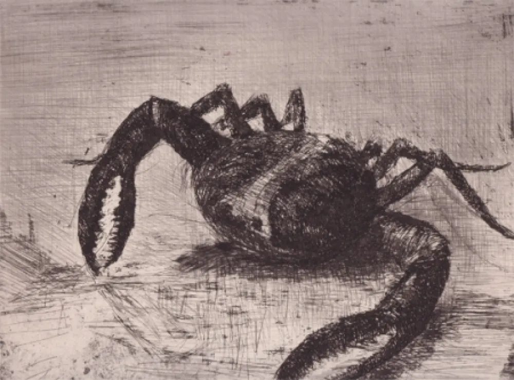 Illustriertes Buch Zamorano De Biedma - Bestiaire