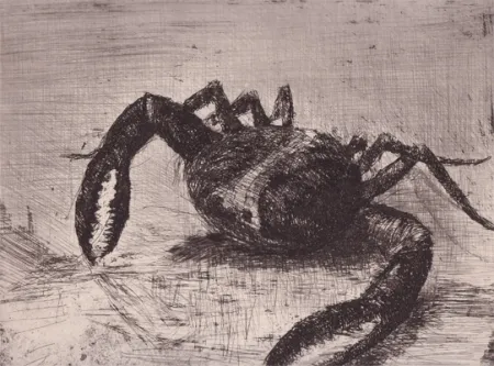 Illustriertes Buch Zamorano De Biedma - Bestiaire