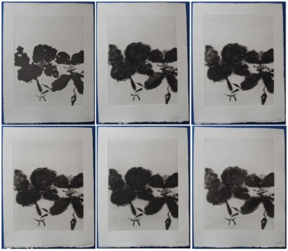 Radierung Und Aquatinta Zao - 6 états de la gravure 