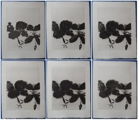 Radierung Und Aquatinta Zao - 6 états de la gravure 