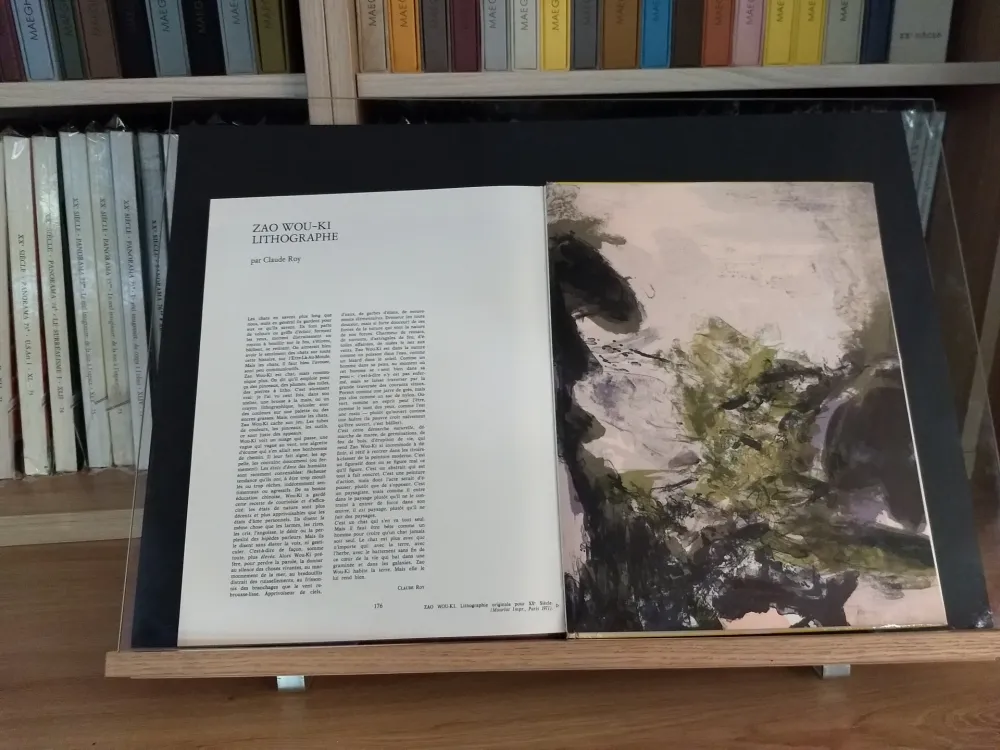 Illustriertes Buch Zao - No 37