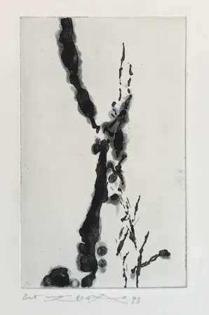 Radierung Und Aquatinta Zao - Rompre le cri (374)