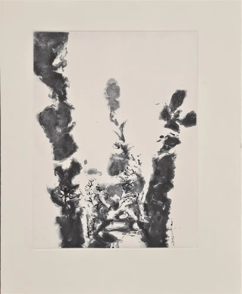 Radierung Und Aquatinta Zao - XXIV Sonnets de Shakespeare