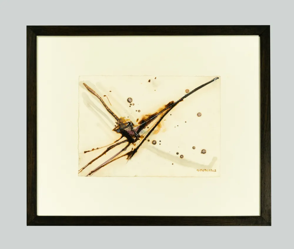 Keine Technische Zorio - Senza titolo (Canoa)