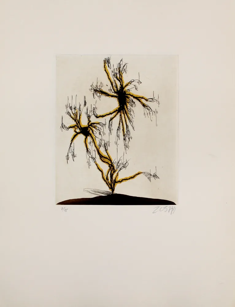 Radierung Und Aquatinta Zush - Anzuras