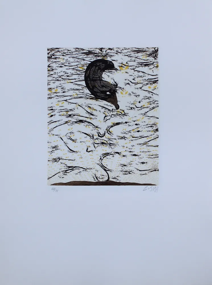 Radierung Und Aquatinta Zush - Sascape