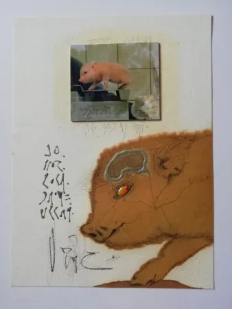 Keine Technische Zush - Socjomo